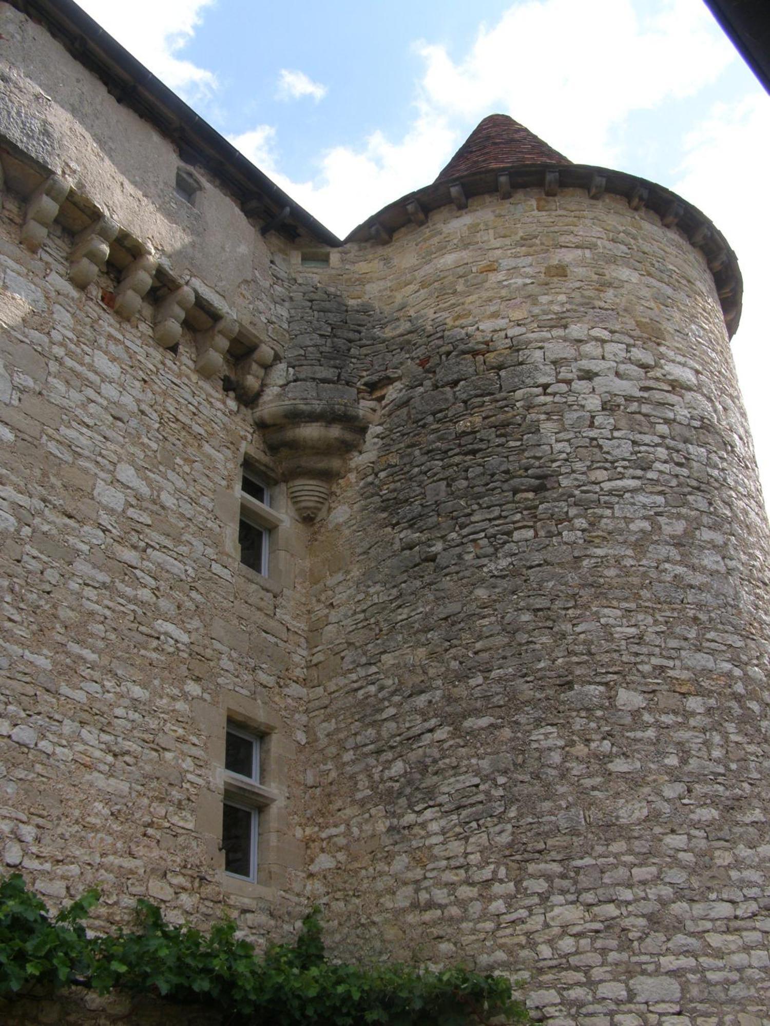 Bed and Breakfast Chateau De Camboulan Ambeyrac Exterior foto