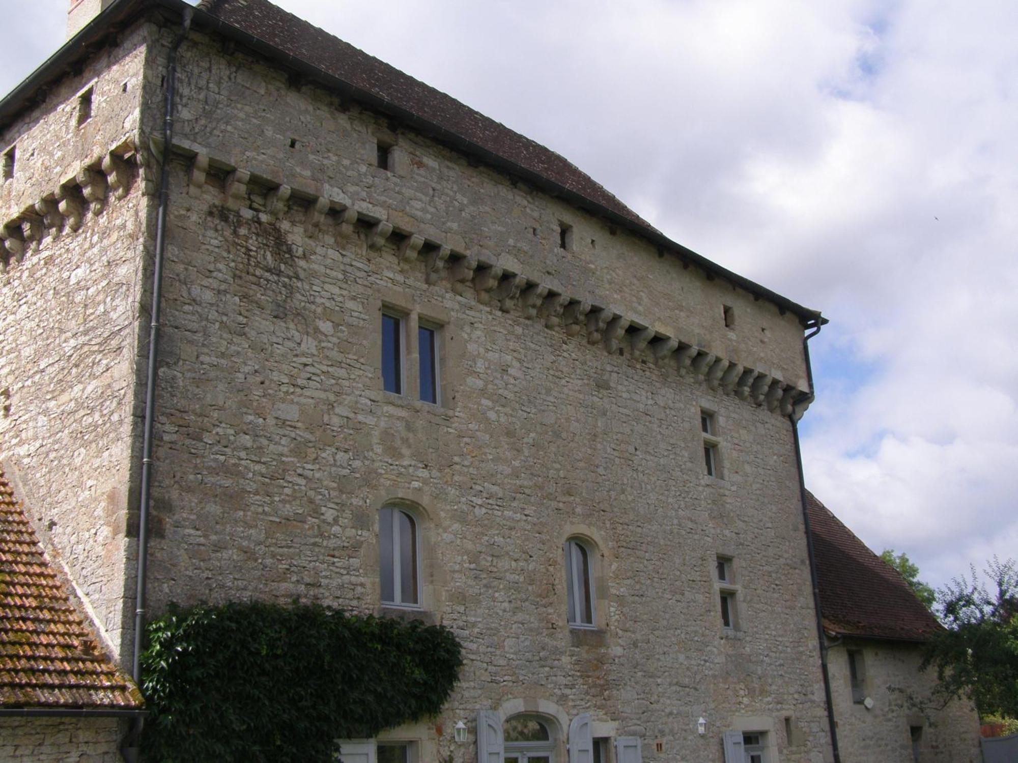 Bed and Breakfast Chateau De Camboulan Ambeyrac Exterior foto