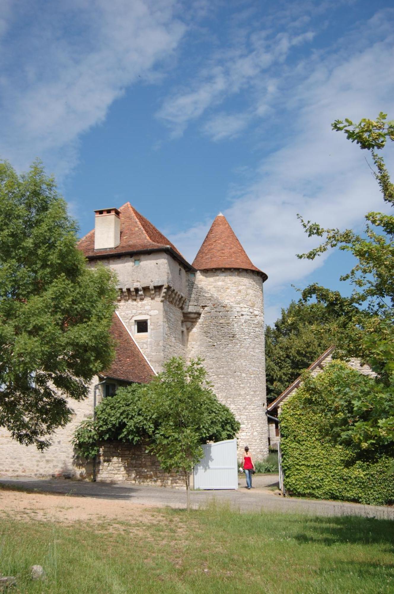 Bed and Breakfast Chateau De Camboulan Ambeyrac Exterior foto