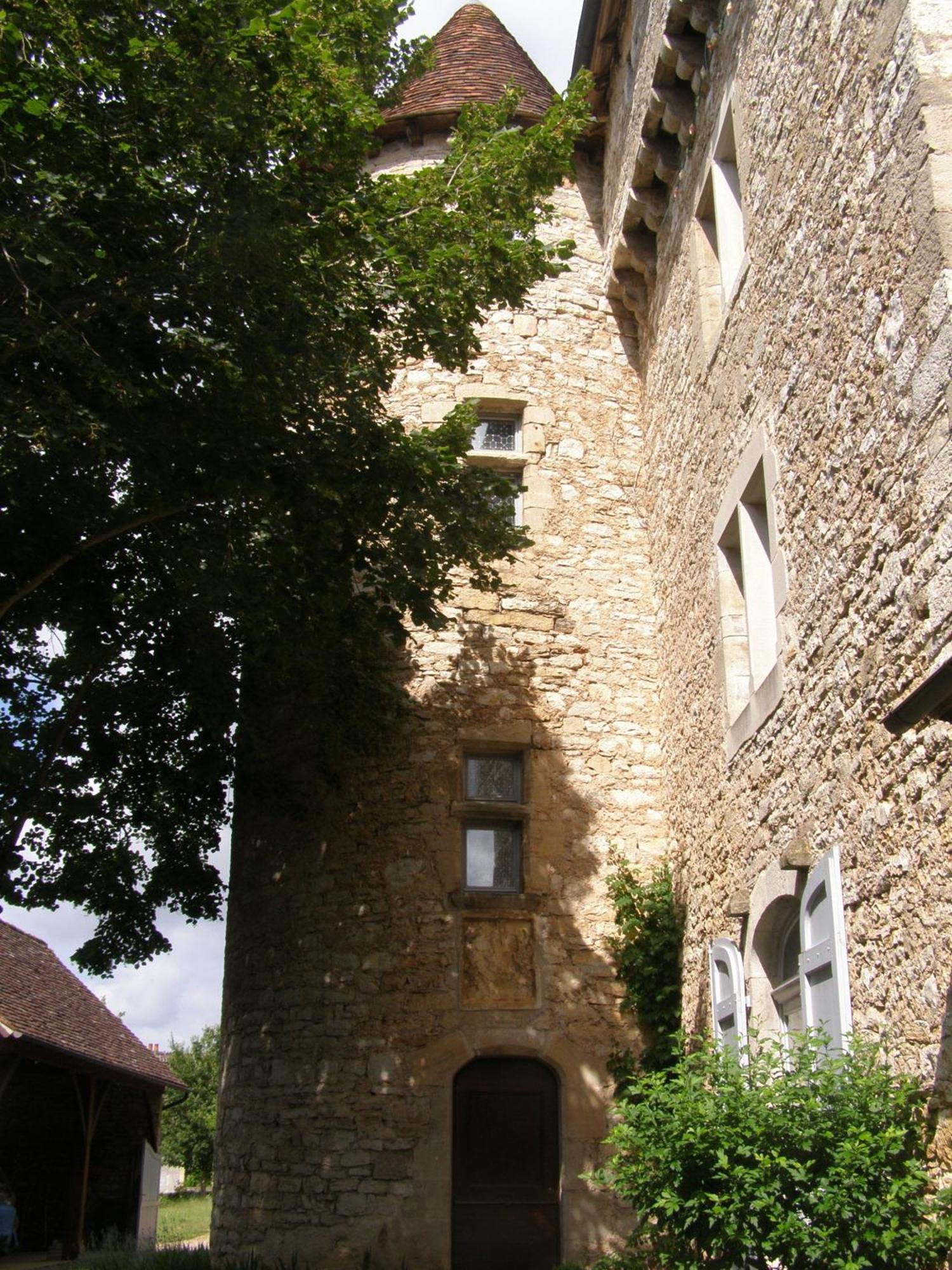 Bed and Breakfast Chateau De Camboulan Ambeyrac Exterior foto